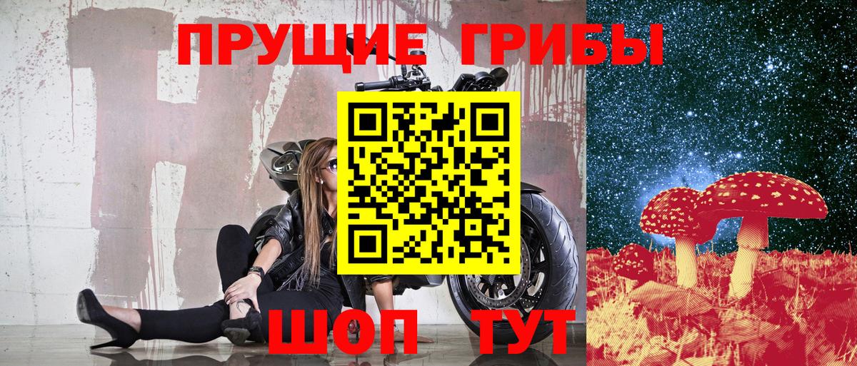 Выборг  Галлюциногенные грибы прущие грибы  Галлюциногенные грибы Cubensis  Вход с VPN 